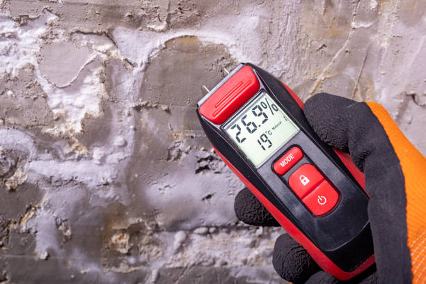 Best Emergency Mold Remediation in Fairborn, OH