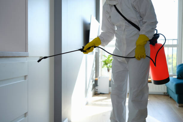 Professional Mold Remediation in Fairborn, OH